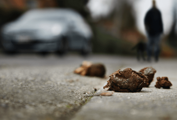 Kyle Sandliands spotted in Newtown.