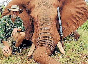 Shooters and Fishers MLA Robert Borsak does his bit for NSW familes by shooting dead an elephant in Africa.