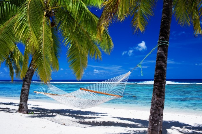 stockfresh_1133110_hammock-between-palm-trees-on-tropical-beach_sizeS