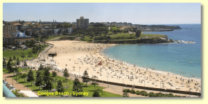 coogeefromcrowneplaza