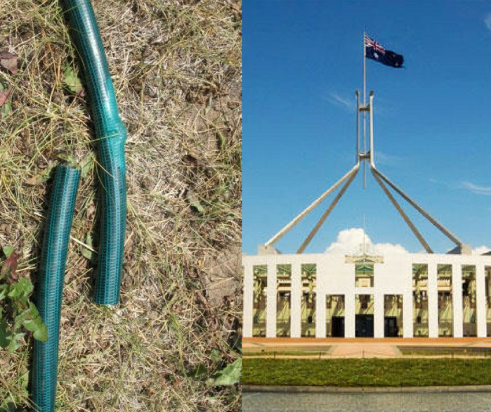 hose parliament